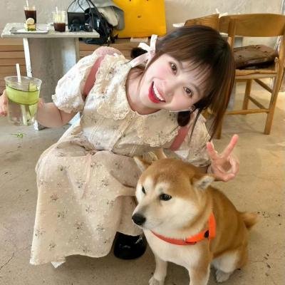鲨海