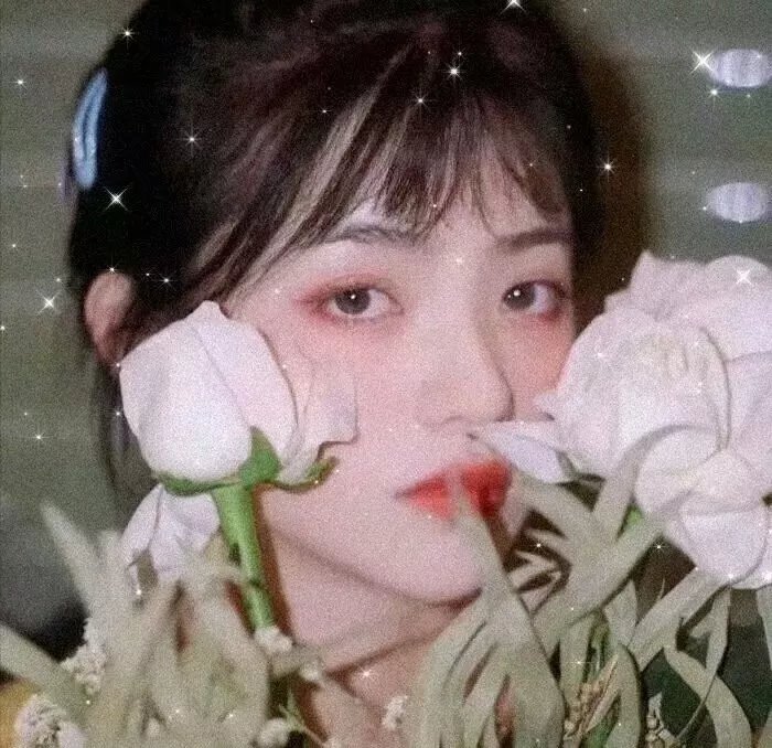 真相吧！花花万物